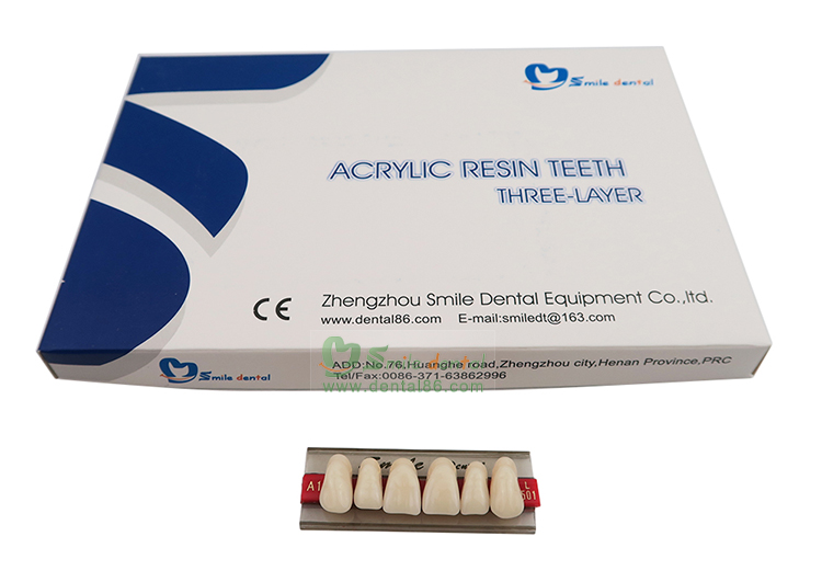 Synthetic Resin Teeth Three Layer